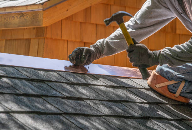 Best Metal Roofing Installation  in Mallory, WV