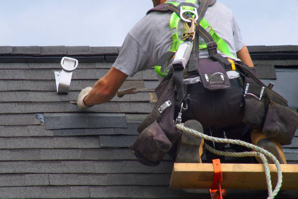 Best Emergency Roof Repair  in Mallory, WV