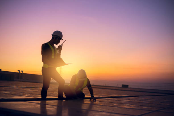 Best Roof Insulation Installation  in Mallory, WV