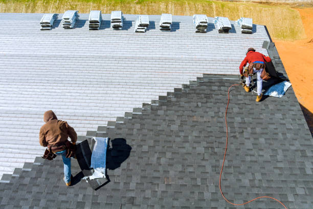 Best Storm Damage Roof Repair  in Mallory, WV