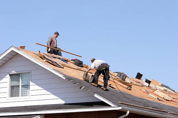 Best Solar Panel Roofing Installation  in Mallory, WV