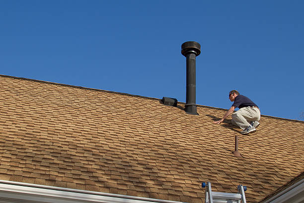 Best Roof Insulation Installation  in Mallory, WV