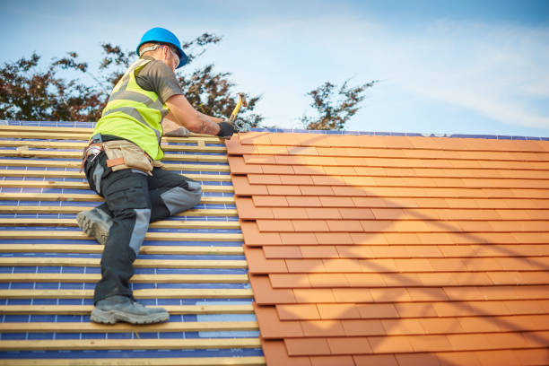 Best Gutter Installation and Repair  in Mallory, WV